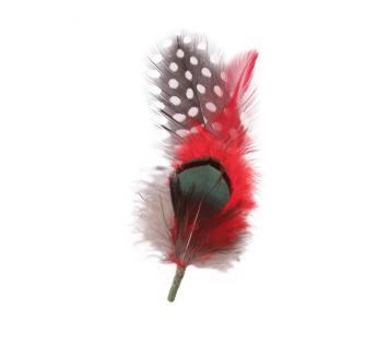 Plumes pour chapeau Hat Feather