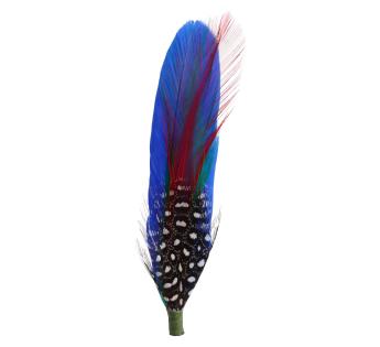 Plumes pour chapeau Hat Feather